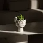 Design objects - CROWNS - FEINEDINGE