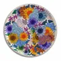 Plateaux - Plateaux - AVENIDA HOME