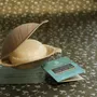 Coffrets et boîtes - TROUSSE CADEAU BIEN-ÊTRE AYURVÉDA - SOIN KERALA NOTE BOISEE - KARAWAN AUTHENTIC