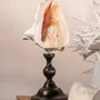 Decorative objects - Calypso Collection - ATELIERS C&S DAVOY