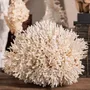 Decorative objects - Calypso Collection - ATELIERS C&S DAVOY