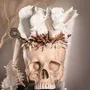 Decorative objects - Calypso Collection - ATELIERS C&S DAVOY