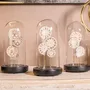 Gifts - The boxes of the curious - ATELIERS C&S DAVOY