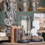 Gifts - The boxes of the curious - ATELIERS C&S DAVOY