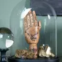 Gifts - The boxes of the curious - ATELIERS C&S DAVOY