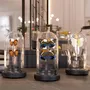 Gifts - The boxes of the curious - ATELIERS C&S DAVOY