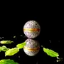 Gifts - Globe candle\" Bollywood\” Fig tree - PONPON CURIOSITAS