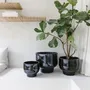 Pottery - SHADE - POTTERY - D&M