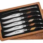Knives - Set of 6 Biseau mixed wood table knives - LAGUIOLE EN AUBRAC