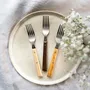 Forks - SYLVE forks - OPINEL