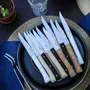 Knives - Table knives FACETTE - OPINEL