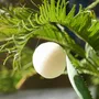 Cosmétiques - EPONGE DE KONJAC BIOLOGIQUE NATURELLE - EN BOÎTE - KARAWAN AUTHENTIC