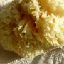 Beauty products - NATURAL SEA SPONGE - KARAWAN AUTHENTIC