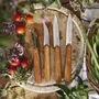 Kitchen utensils - Les Essentiels du Cuisinier small kitchen knives - OPINEL