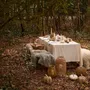 Accessoires de jardinage - Citrouille décorative en branches - IB LAURSEN