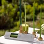 Candles - Coffret de Cierges Artisanaux - MAISON PECHAVY