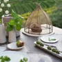 Trays - 100% abaca food covers - FIORIRA UN GIARDINO SRL