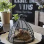 Trays - 100% abaca food covers - FIORIRA UN GIARDINO SRL