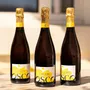 Épicerie fine - OSCO L'Eclat Brut - pétillant sans alcool français - 75cl - OSCO - APERITIFS SANS ALCOOL