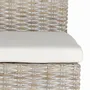 Chaises - Lot de 2 chaises en rotin avec coussin inclus - GINER Y COLOMER