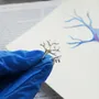 Jewelry - Silver Jewelry by biology - WILD TYPE