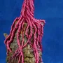 Customizable objects - ZEN BONSAI CHERRY BLOSSOM - MOSCHE BIANCHE