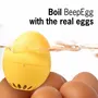 Small household appliances - BeepEgg | Singing floating egg timer - BRAINSTREAM