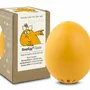 Small household appliances - BeepEgg | Singing floating egg timer - BRAINSTREAM