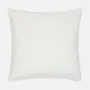 Fabric cushions - Rose Bramble Velvet Cushion Cover, 40x40cm - SHAKU