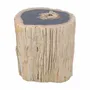 Stools - Petrified Wood side tables - XYLEIA PETRIFIED WOOD