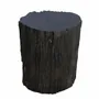 Stools - Petrified Wood side tables - XYLEIA PETRIFIED WOOD