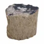 Stools - Petrified Wood side tables - XYLEIA PETRIFIED WOOD