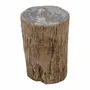 Stools - Petrified Wood side tables - XYLEIA PETRIFIED WOOD