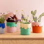 Office design and planning - Flower pots - AVEVA DESIGN
