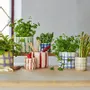 Office design and planning - Flower pots - AVEVA DESIGN