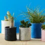 Office design and planning - Flower pots - AVEVA DESIGN