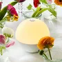 Lampes de table - Boule lumineuse ALBA, blanc brillant — Paquet de deux - DYBERG LARSEN