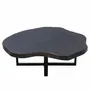 Office furniture and storage - Black petrified wood coffee tables - XYLEIA PETRIFIED WOOD