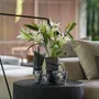 Home fragrances - ARABIAN EYES - ARTITUDE HOME