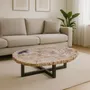 Office furniture and storage - Earth-toned petrified wood coffee tables - XYLEIA PETRIFIED WOOD