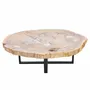 Office furniture and storage - Earth-toned petrified wood coffee tables - XYLEIA PETRIFIED WOOD