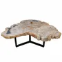 Office furniture and storage - Earth-toned petrified wood coffee tables - XYLEIA PETRIFIED WOOD