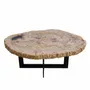 Office furniture and storage - Earth-toned petrified wood coffee tables - XYLEIA PETRIFIED WOOD