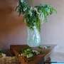 Vases - COUREAU - Souffle marin - CENSIS RUBLISS