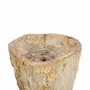 Washbasins - Freestanding Petrified Wood Wash Basins - XYLEIA PETRIFIED WOOD