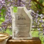Beauty products - Fresh and organic donkey milk body lotion refill 500ml - AU PAYS DES ÂNES