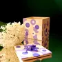 Objets de décoration - Bougie Caméléon - PONPON CURIOSITAS