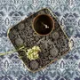 Trays - Plateaux métal émaillé - MAISON LILO