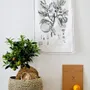 Kitchen linens - Laranjeira/Oranger - Tea Towel - LUZ EDITIONS