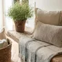 Throw blankets - Jane Jacquard Throw Blanket Multico 130 X 160 - MAISON VIVARAISE - SDE VIVARAISE WINKLER